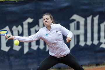 Bild 246 - BL DTV Hannover - BW Dresden Blasewitz : Ergebnis: 2:7